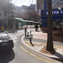 수원-0732 이미지