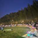 리버피크닉 이미지