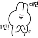 리더스탁구교실