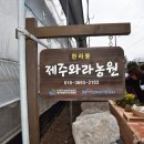 김재관 농장 이미지