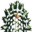 다문2리 이미지