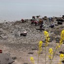 복산4구 이미지