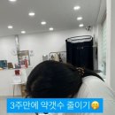 반하밍