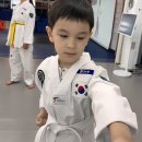 서래태권도 이미지