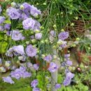 동화조경농원 이미지