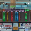 세화환승정류장 | 뚜벅이로 시작해 차로 마무리한 3박 4일 제주 여행 후기