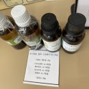 아르떼 퍼피 이미지