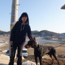 양양5일장 이미지