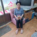 새금빛약국 이미지