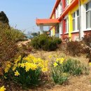 나포초등학교 이미지