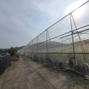 계산농장 이미지