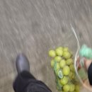 영어로 배우는 비타민 한국어 3 (1) | [캐나다워홀/D-287~345] 2-3월 일상 기록(리치몬드 하이디라오, 사이프레스 스키장)