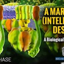 A Marvel of (Intelligent) Design 이미지