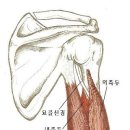 이지휘트니스 이미지