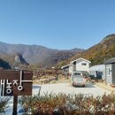 원애농장 네이버블로그