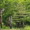 둘레길 펜션 이미지