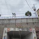 밤적골길 이미지