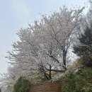 위스타트 복싱 네이버블로그