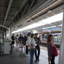 코리아나나이트클럽 이미지