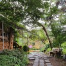 김미자 가마솥밥 이미지