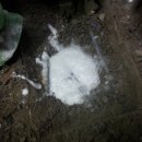 장원카센타 이미지