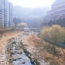 대천 작은도서관 이미지