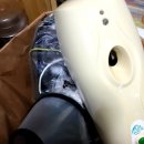 여우하품 이미지