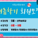 토토즐 댄스 이미지