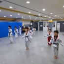 석사서울태권도장 이미지