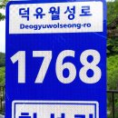 분설담화장실 네이버블로그