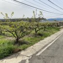 부곡온천부동산중개 이미지