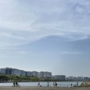 로잉프로