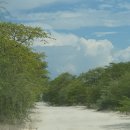 아프리카 7개국 종단 배낭여행 이야기(52)..Okavango Delta(1)보트타는 것이 재미없다면 여행할 자격이 없는 사람이다 이미지