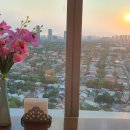 마닐라PC 이미지