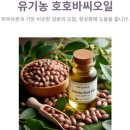 짐홀릭 | [욕실] 입욕제 추천 호캉스 준비물 버블바 타입 거품목욕제 후기, 그린홀릭 배쓰밤