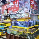 대성횟집 | 영종도 구읍뱃터 맛집 대성수산 영종도 횟집 포장 후기