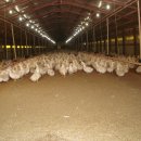 월계 농장 이미지