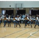 라인댄스 이미지