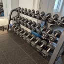 매드볼릭 휘트니스 이미지