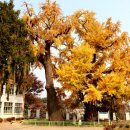 면천스테이 이미지