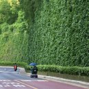 동호로5길 이미지