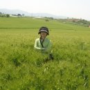 용아농장 이미지