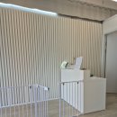 뽀송하댕 이미지