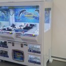 Play뽑기방 이미지