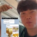 껄떡돼지 이미지
