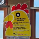 정욱목장 | 강원도 평창 여행 맛집 추천 [금강 숯불닭갈비 메밀막국수] 내 돈 내산 후기