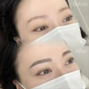 일레르 뷰티 | 화곡 자연눈썹 결이고은뷰티샵 후기 + 탈각과정