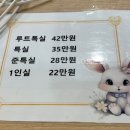 루트여성의원 이미지