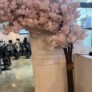 압구정헬스장 젠틀짐에서 운동 시작했어요