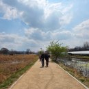 두물머리공원 맞은편 이미지